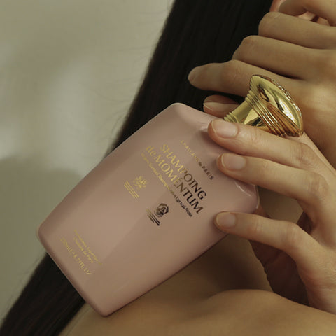 (~60+10% OFF) SHAMPOING de MOMÉNTUM (Damaged hair care Shampoo)