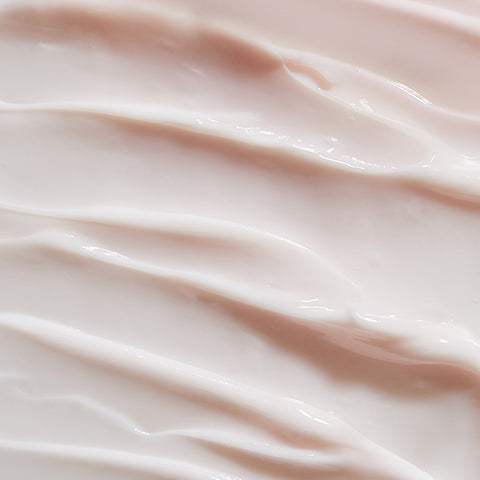 (~60+10% OFF) ALBAROSA SIGNATURE SERIES (Sun damage/Dark spot care Ampoule, Creme)